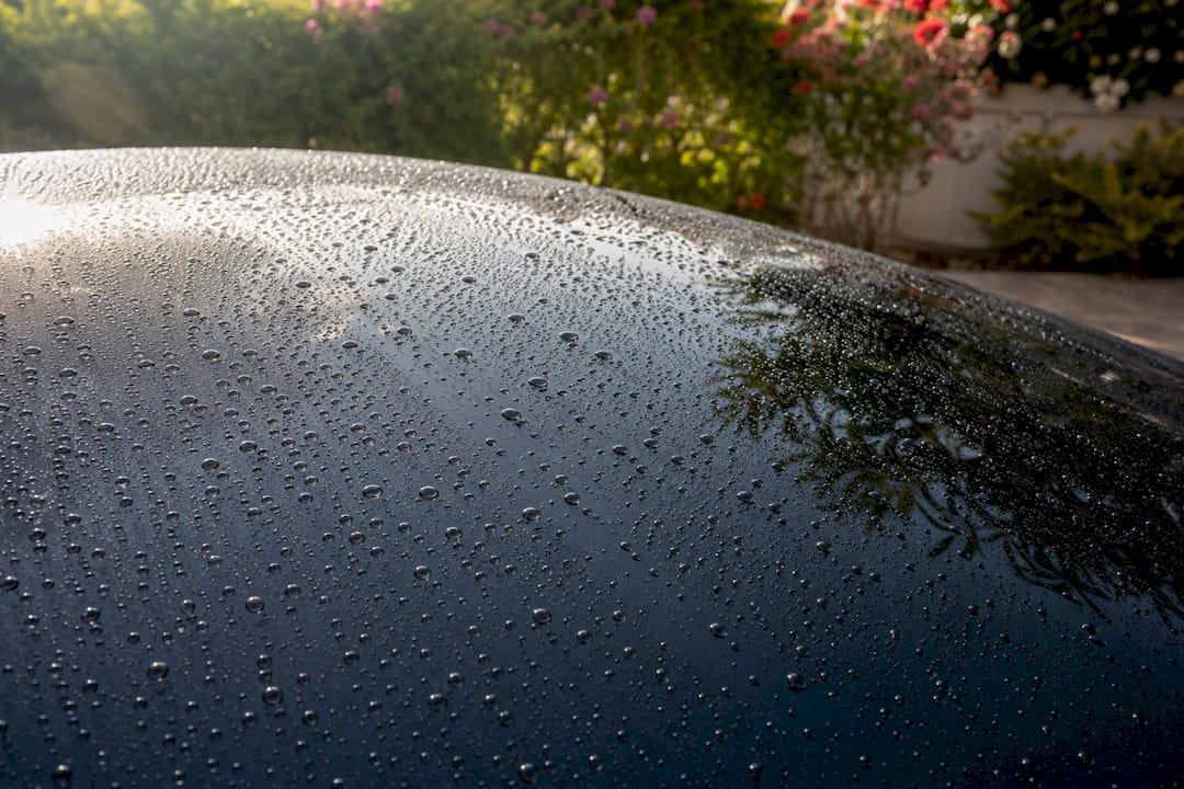Close-up of water droplets beading on car paint